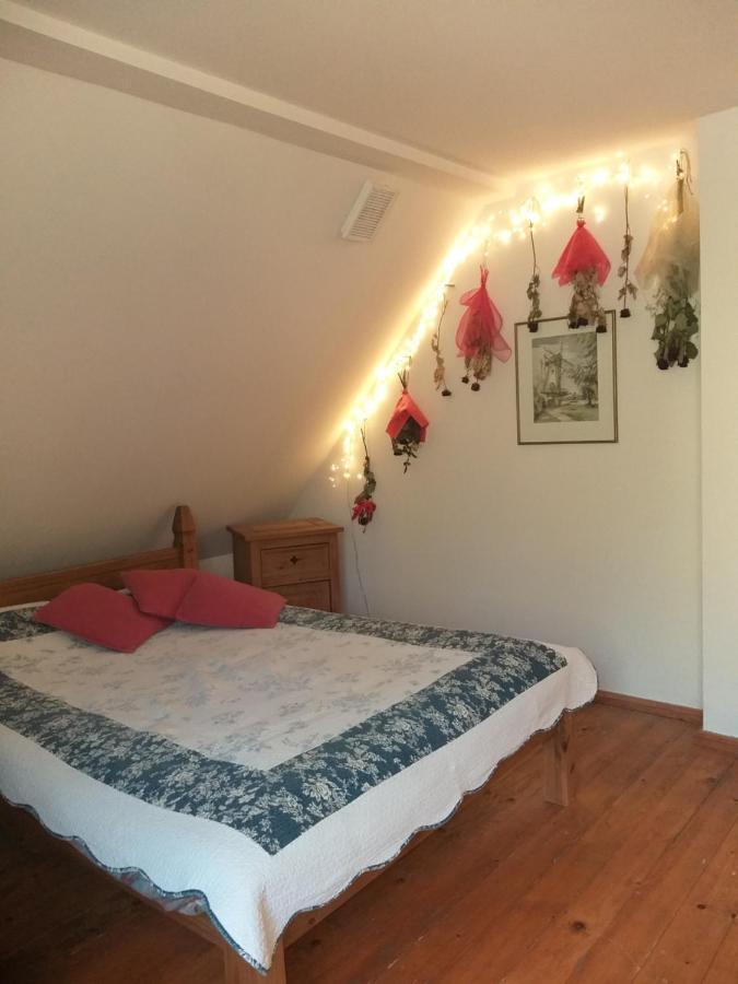 Salamandra Apartman Krempna Kültér fotó