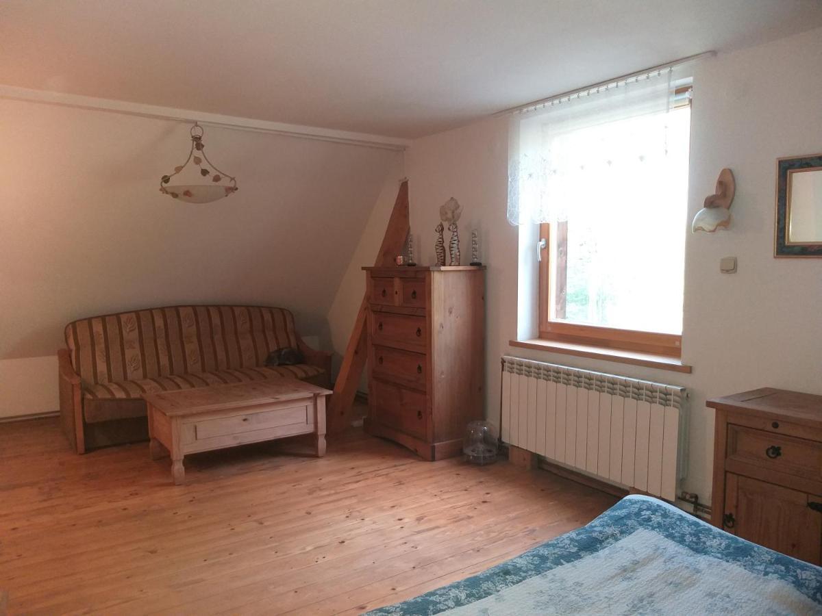Salamandra Apartman Krempna Kültér fotó
