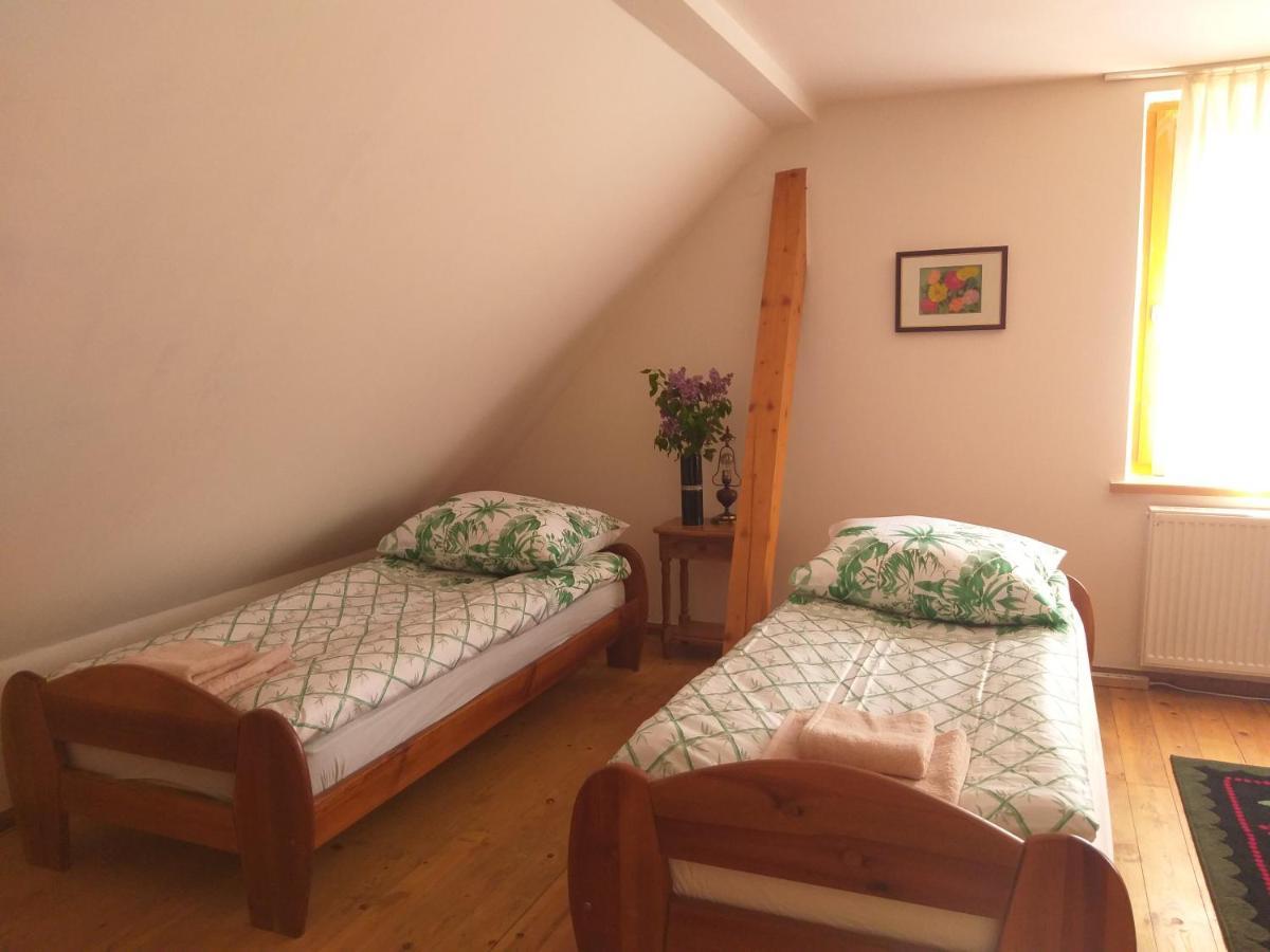Salamandra Apartman Krempna Kültér fotó